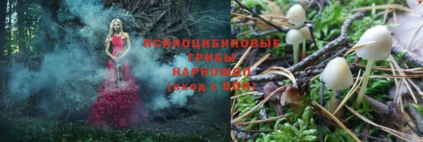 мет Абинск