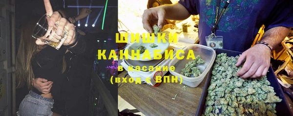 дмт Абаза