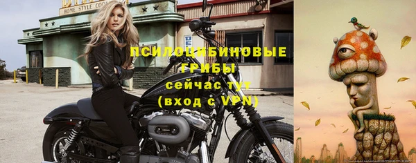 дмт Абаза