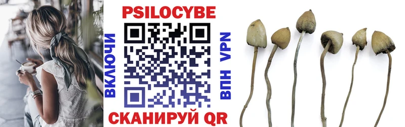 Псилоцибиновые грибы Psilocybine cubensis мега сайт Нестеров