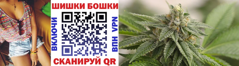 Бошки Шишки OG Kush  цены наркотик  Нестеров 